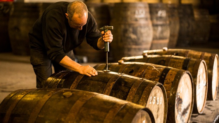 Worker opening wooden whisky cask in whisky distillery.
