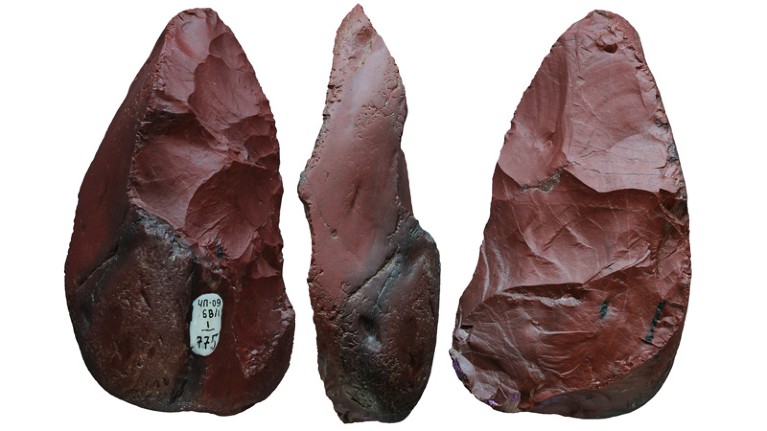 Micoquian stone tool (9.5 cm long) used as a meat knife by Neanderthals at Chagyrskaya Cave.
