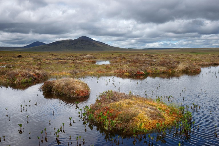 Pools of water in peatland under a cloudy sky with a hill in the background