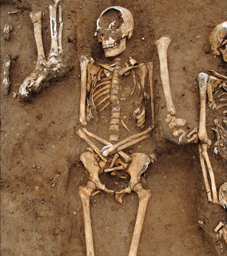 Detailed view showing how the rows of buried skeletons overlap.