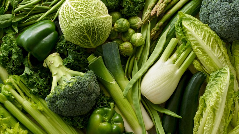 Caption: Variety of fresh green vegetables.