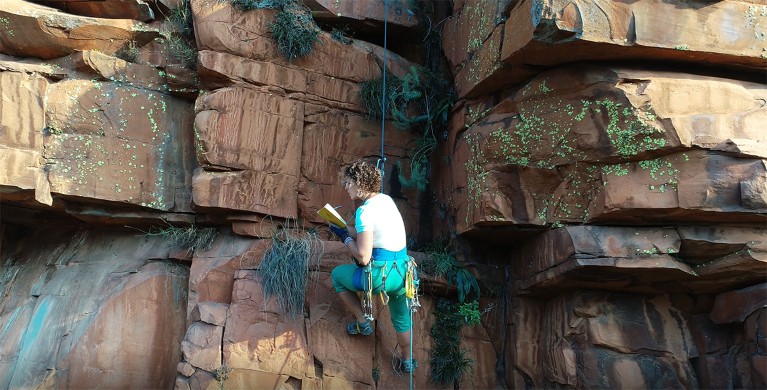 Rose Marks abseils down the cliffside in Mpumalanga, South Africa, while researching plants.