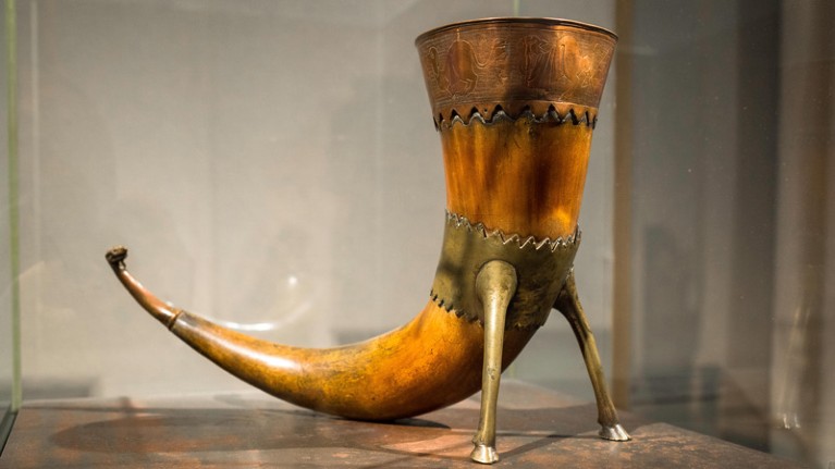 A 9th century Viking drinking horn on display in the Historical Museum in Oslo, Norway.