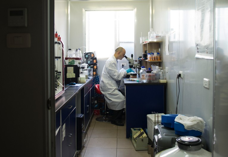 Li Hua sits at his lab bench looking down a microscope