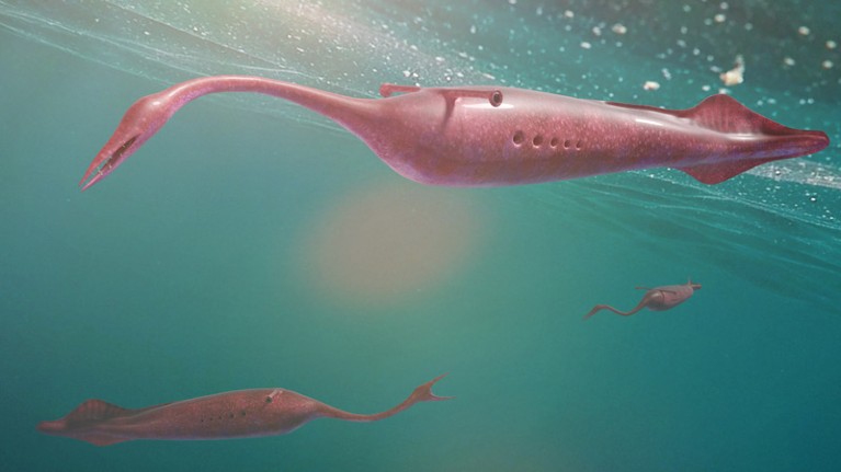 Elongated pink creature with long, slender neck and tiny bird-like head in water.