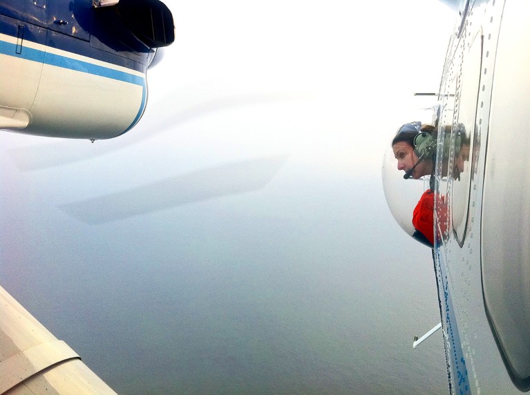A researcher in an airplane looks for North Atlantic right whales
