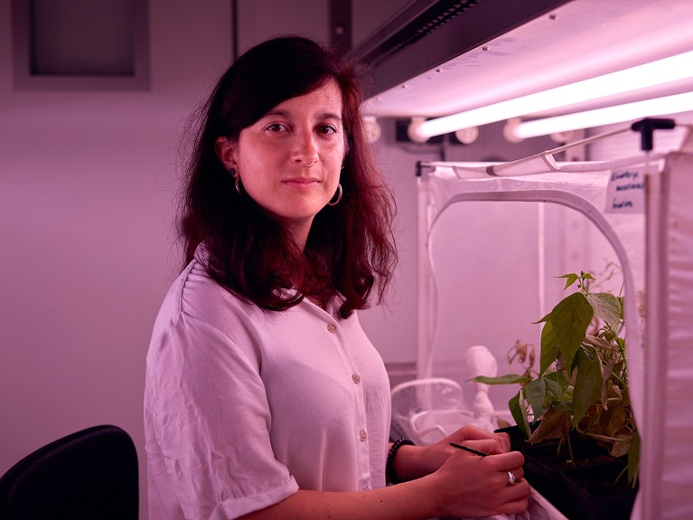 Giuditta Beretta works in her lab of the greenhouse where she studies mites.