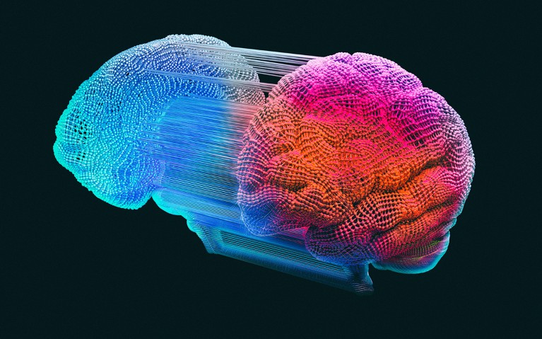 Computer graphic of two brains with connections between them