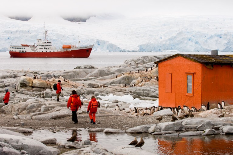 Tourists walk past a small building surrounded by penguins and gulls with a ship anchored off shore of the Antarctic Peninsula
