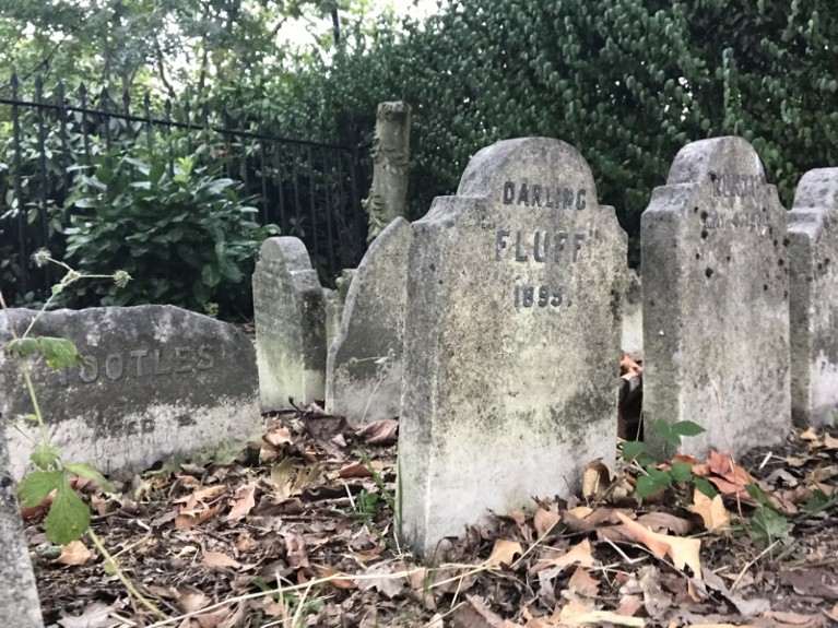 19th-century graves at Hyde Park Pet Cemetery, taken with permission from The Royal Parks.