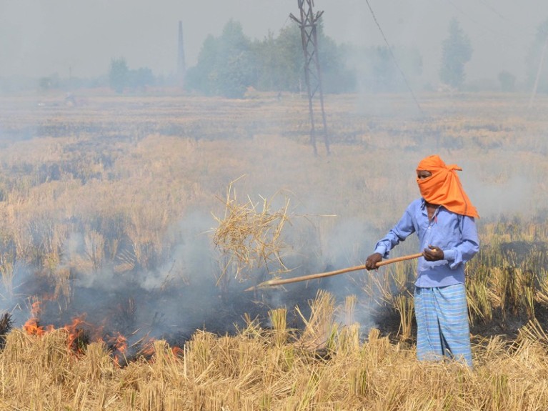 An Indian farm labourer burns paddy stubble in a field on the outskirts of Amritsar, India.