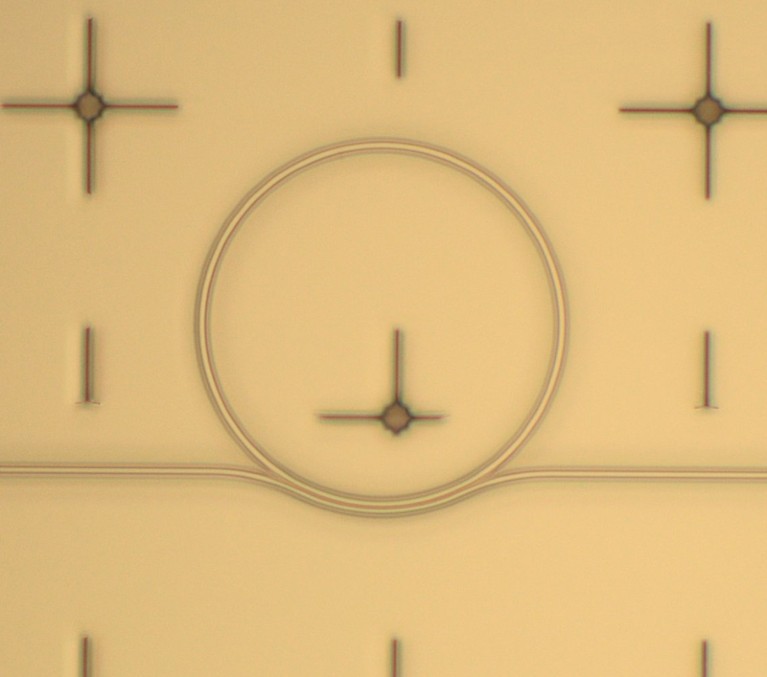 A photonic microring resonator .