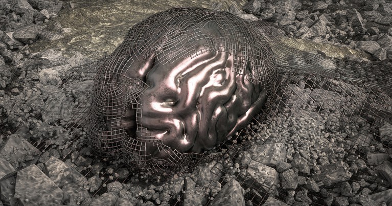 A plasticized human brain partly covered by mesh sits on a grey rocky landscape