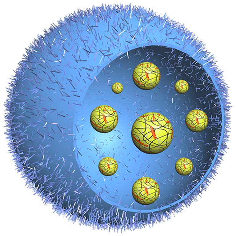 Schematic of engineered artificial organelles inside a proteinosome.