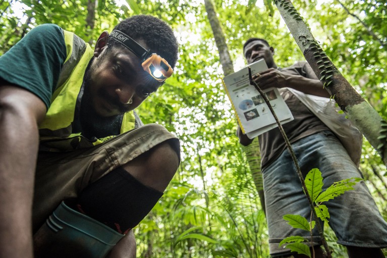 Jason Paliau and local assistant Sammy collect ant specimens in a rainforest in Papua New Guinea