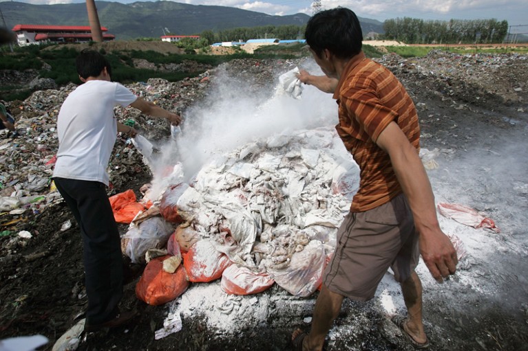 Workers sprinkle disinfection powder on spoiled pork