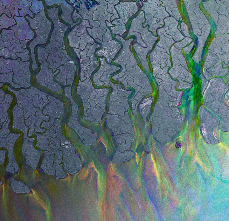 Satellite image of Ganges Delta plain, Bangladesh