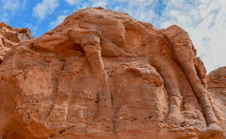 Carved sculpture of a camel's legs in the side of a large rock in Saudi Arabia