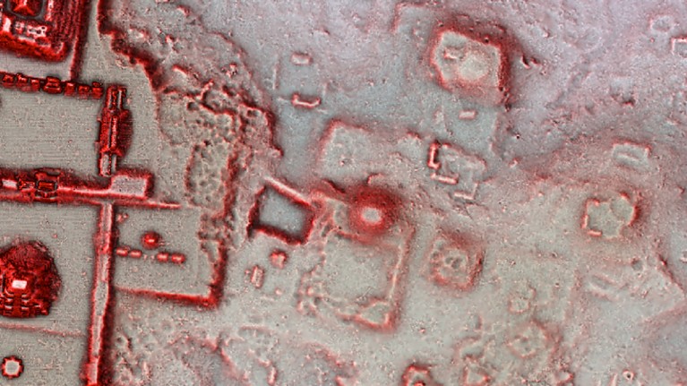 A lidar image highlighting artificial structures and quarry sites in the Maya ruins at Tikal
