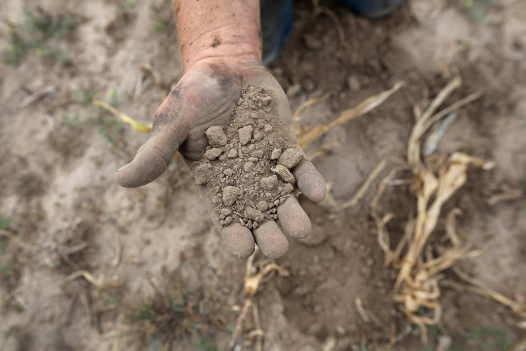 A farmer holds dry soil in his hand