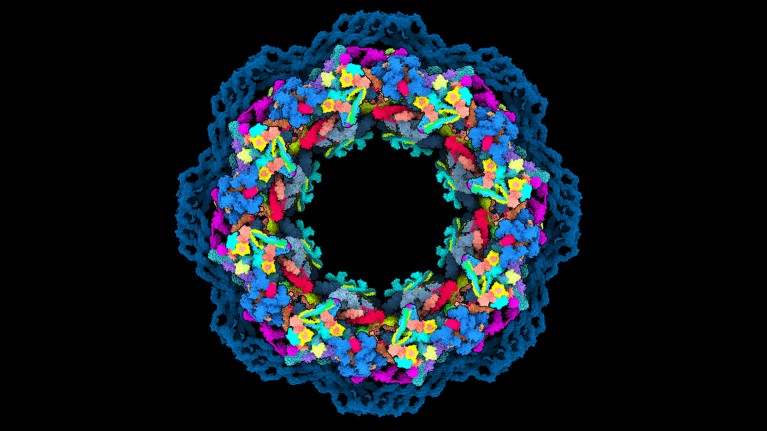 Three dimensional structure of the ring-shaped human nuclear pore complex modelled using AlphaFold