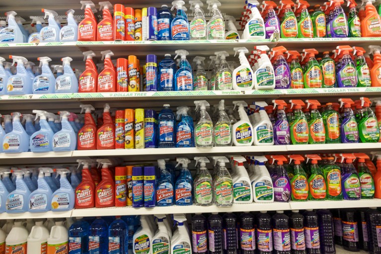 Shelves of cleaning products in plastic bottles for sale
