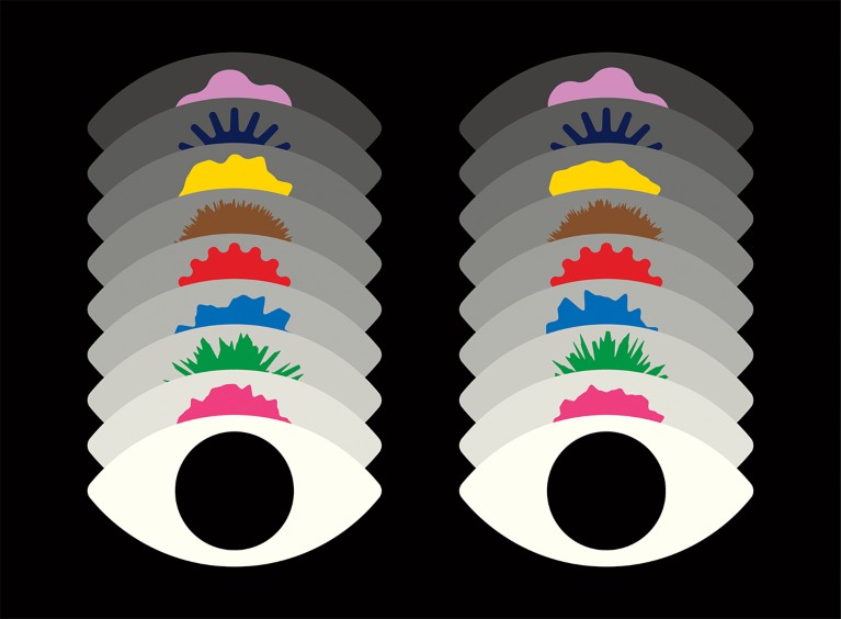 Cartoon of two eyes which repeat upwards with different visualisations instead of pupils.
