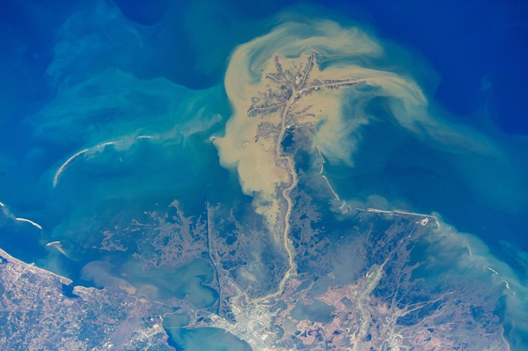 A cloud of particles from the mouth of the Mississippi River emptying into the Gulf of Mexico