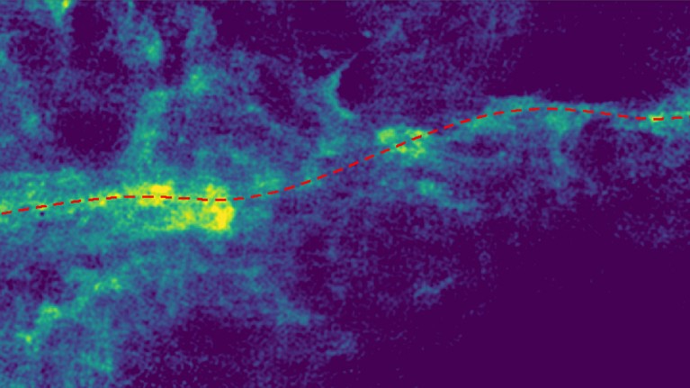 False-colour image with a red dotted line showing the 'Maggie' filament