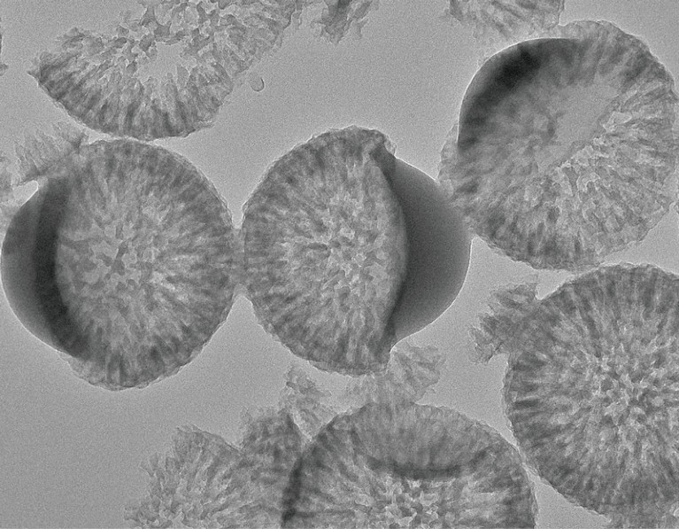 TEM of structural characteristics of APHC nanoparticles