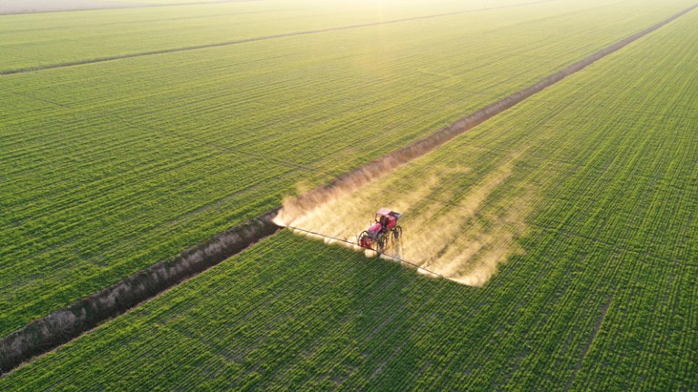 Aerial view of an agricultural machine spraying herbicides in a wheat field