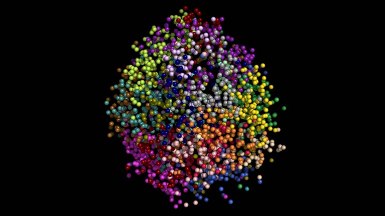 3D representation of a single nucleus with chromosomes represented by different coloured spheres arranged in space