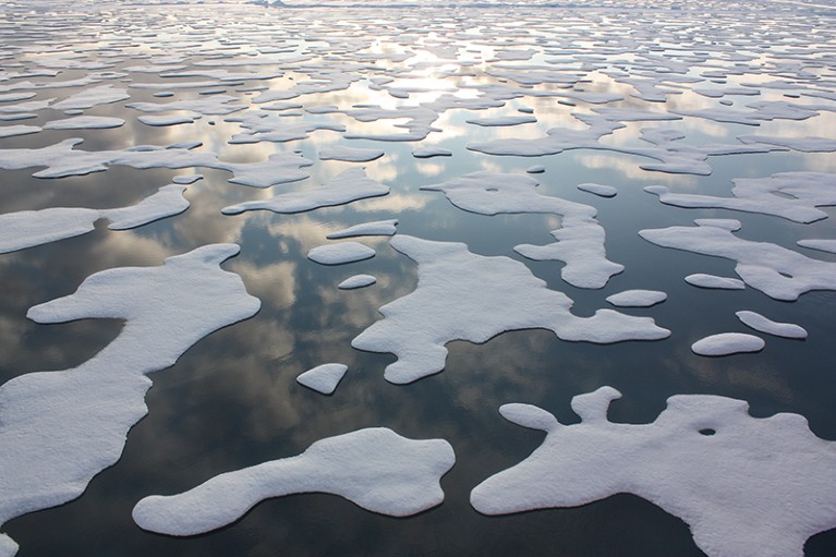 The edge of sea ice floating and drifting in the Arctic Ocean.