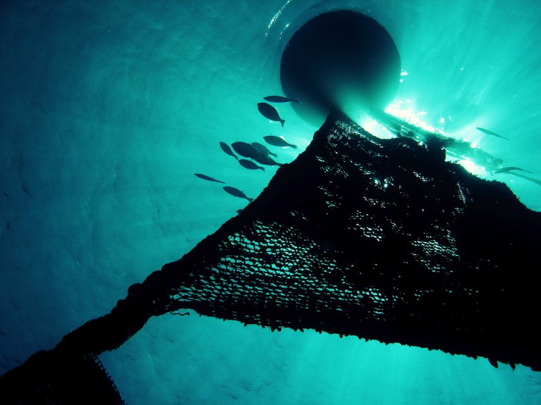 A silhouette of a fish-aggregating device attached to a buoy, view looking upwards to the equipment and a school of fish.