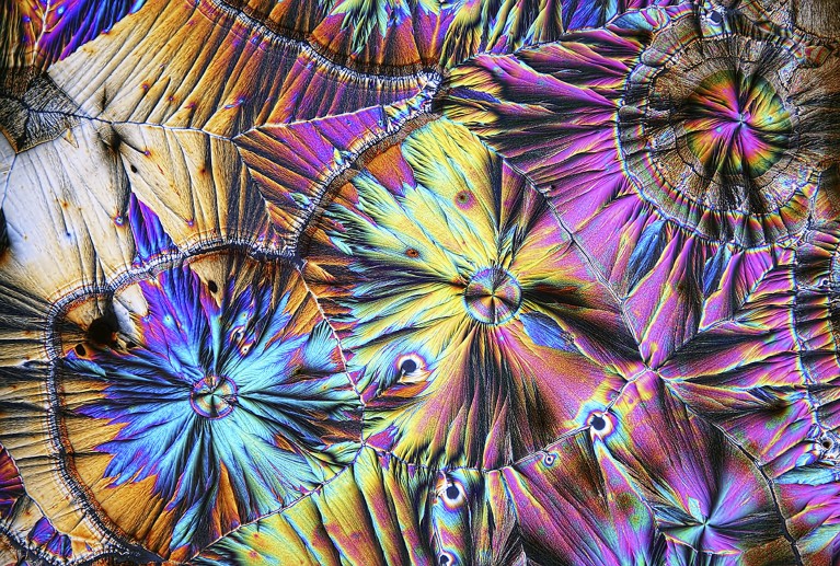 Multi-coloured ight micrograph of dopamine crystals from aqueous solution.