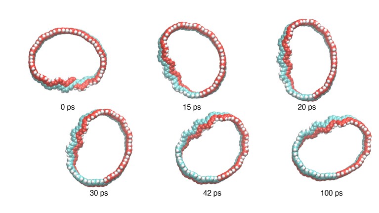 Snapshots of the twist in a Möbius carbon nanobelt at six different time points.