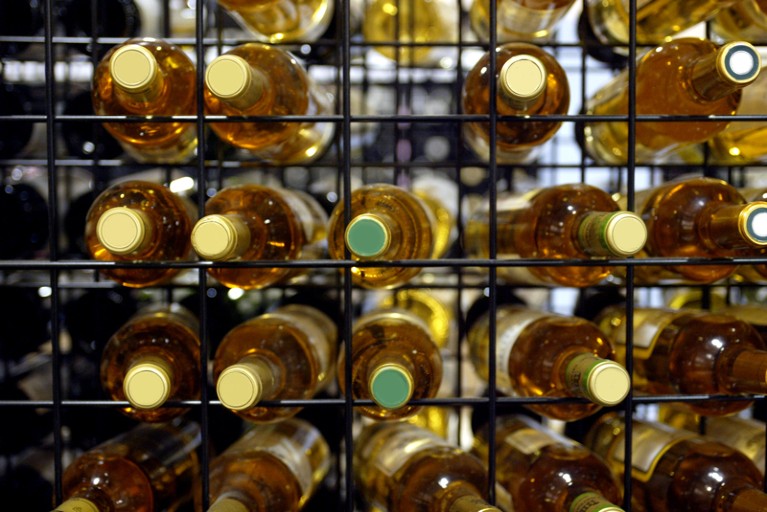 Colourless glass bottles of white wine stored in a wine rack
