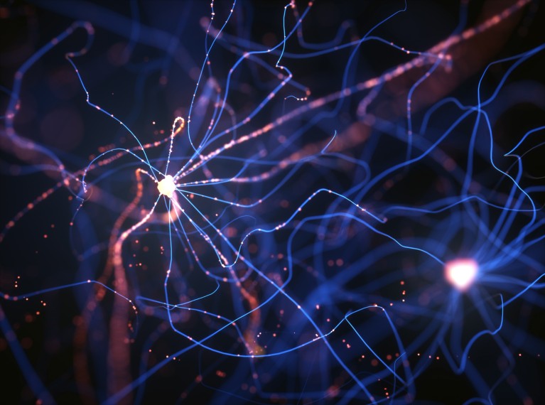 红色和蓝色神经细胞的计算机插图