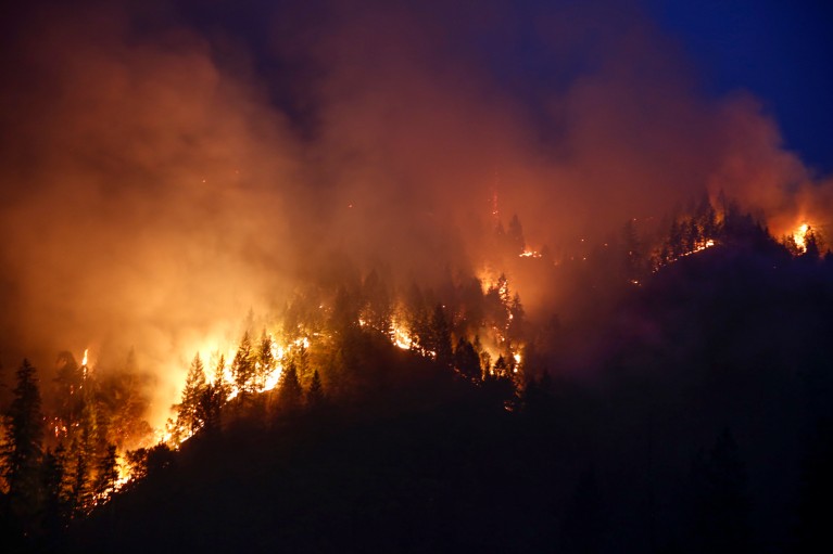 A forest burns in the Carr Fire at night