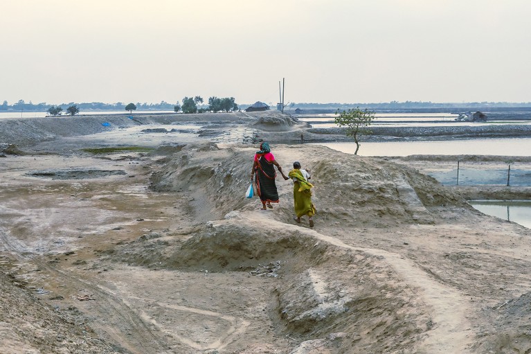 Two people walk on soil showing the salinity effect, and the trees have died after a cyclone hit in Satkhira, Bangladesh, 2022.