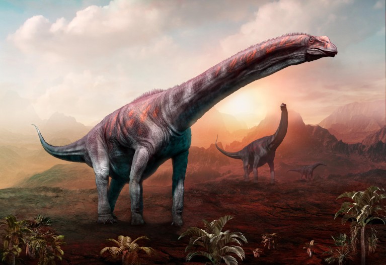 Drawing of three long-necked dinosaurs in a rocky landscape