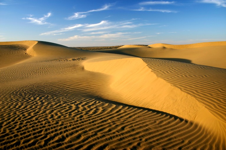 Golden sand dunes and blue sky in the Thar desert in Rajasthan, India