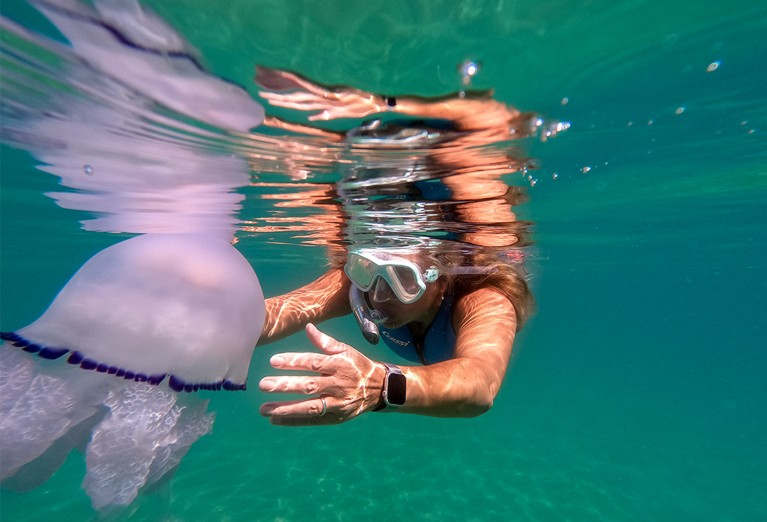 安东内拉·莱昂内在水母旁边游泳