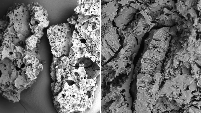 Composite of two black-and-white scanning electron microscope images of carbonized food remains.
