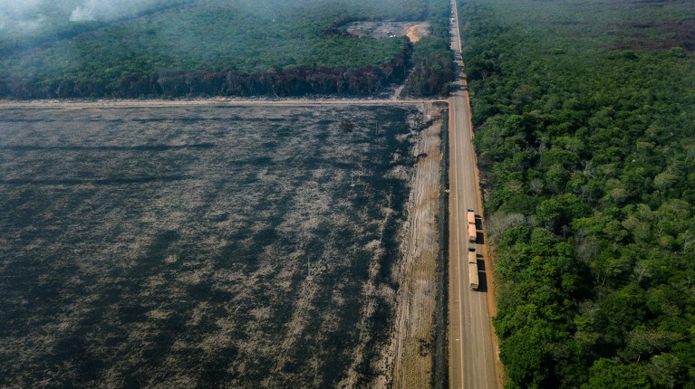 Aerial view of burnings in the vicinity of the BR-163 highway in the state of Pará, northern Brazil.