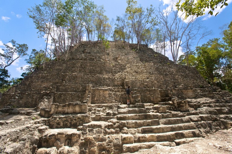 Ground-level view of a ruined stepped pyramid with trees growing out of it.