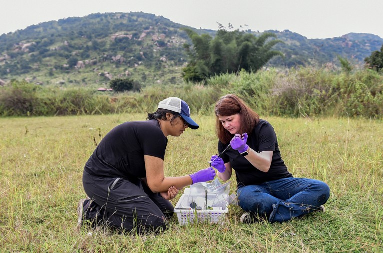 Shannon Olsson and a teammate conduct fieldwork on pollinators in Bengaluru, India.