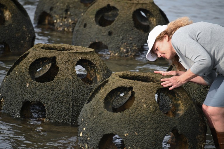 Eileen Maher examines partly submerged reef balls, made from a mixture of cement, sand and crushed oyster shells