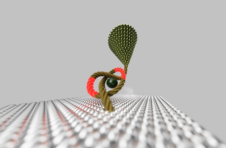 An illustration of an Atomic Force Microscopy tip pulling on a synthetic molecular knot to tighten it