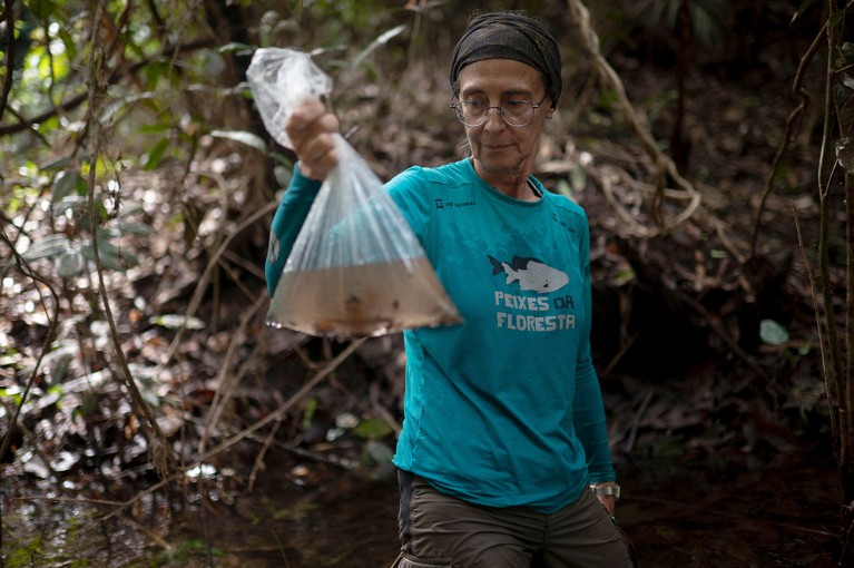 Lucia Rapp Py-Daniel, on the ichthyofauna team of the National Institute for Amazonian Research (INPA) collects specimens.